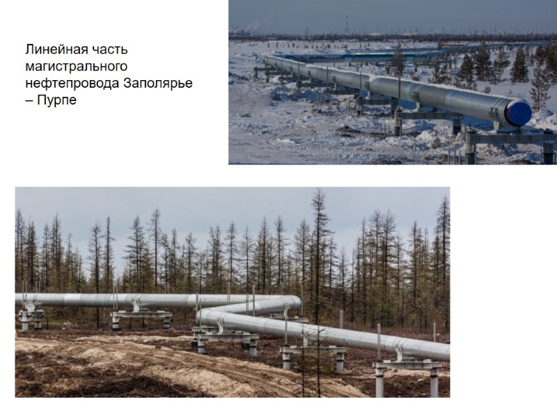 Линейная часть магистрального нефтепровода Заполярье – Пурпе